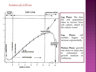 UNIT- 10 ANIMAL CELL CULTURE TECHNIQUES (3).pptx