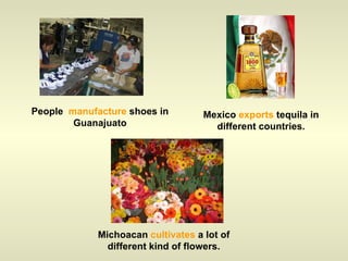 People  manufacture  shoes in Guanajuato Mexico  exports  tequila in different countries. Michoacan  cultivates  a lot of different kind of flowers. 