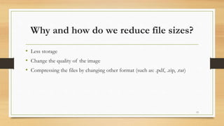 Unit - 11 File Management.pptx