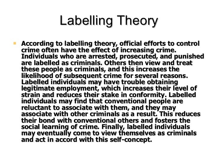 what is sociological theories of crime causation