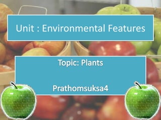 Unit : Environmental Features
 