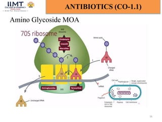 Amino Glycoside MOA
16
ANTIBIOTICS (CO-1.1)
 