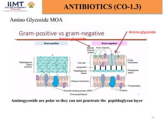 Amino Glycoside MOA
16
ANTIBIOTICS (CO-1.3)
Aminogycoside are polar so they can not penetrate the peptidoglycan layer
Amino glycoside
Amino glycoside
 