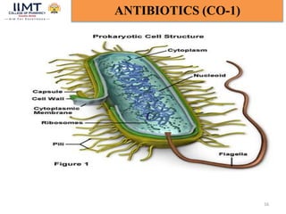 16
ANTIBIOTICS (CO-1)
 