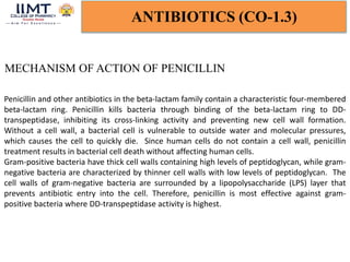 ANTIBIOTICS (CO-1.3)
MECHANISM OF ACTION OF PENICILLIN
Penicillin and other antibiotics in the beta-lactam family contain a characteristic four-membered
beta-lactam ring. Penicillin kills bacteria through binding of the beta-lactam ring to DD-
transpeptidase, inhibiting its cross-linking activity and preventing new cell wall formation.
Without a cell wall, a bacterial cell is vulnerable to outside water and molecular pressures,
which causes the cell to quickly die. Since human cells do not contain a cell wall, penicillin
treatment results in bacterial cell death without affecting human cells.
Gram-positive bacteria have thick cell walls containing high levels of peptidoglycan, while gram-
negative bacteria are characterized by thinner cell walls with low levels of peptidoglycan. The
cell walls of gram-negative bacteria are surrounded by a lipopolysaccharide (LPS) layer that
prevents antibiotic entry into the cell. Therefore, penicillin is most effective against gram-
positive bacteria where DD-transpeptidase activity is highest.
 
