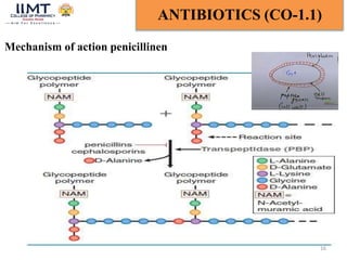 16
ANTIBIOTICS (CO-1.1)
Mechanism of action penicillinen
 