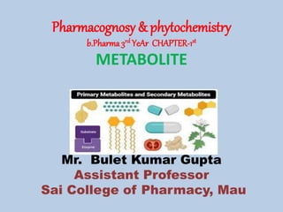 Pharmacognosy & phytochemistry
b.Pharma3rd YeAr CHAPTER-1st
METABOLITE
Mr. Bulet Kumar Gupta
Assistant Professor
Sai College of Pharmacy, Mau
 