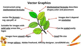 Vector Graphics
Constructed using
mathematical formulas
Mathematical formulas describes
shapes,color and placement
Images don't depend
on resolution
vector file formats :
svg ,eps,pdf, ai
Suitable for images with
solid color areas like
logos
Can be scaled easily
images have smooth edges Small file size
Image editors: Adobe freehand, Affinity designer, coralDRAW etc.
 