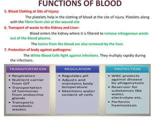 FUNCTIONS OF BLOOD
5. Blood Clotting at Site of Injury:
The platelets help in the clotting of blood at the site of injury. Platelets along
with the fibrin form clot at the wound site
6. Transport of waste to the Kidney and Liver:
Blood enters the kidney where it is filtered to remove nitrogenous waste
out of the blood plasma.
The toxins from the blood are also removed by the liver.
7. Protection of body against pathogens:
The White Blood Cells fight against infections. They multiply rapidly during
the infections.
 