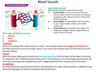 Blood Vessels
Three types of blood vessels are:
1. Arteries
2. Veins
3. Capillaries
1.Arteries:
Arteries are strong tubes and muscular in nature. These blood vessels carry oxygen-rich blood from
the heart to all the tissues of the body. Aorta is one of the main arteries that arise from the heart and
branches further.
2.Veins:
Veins are elastic blood vessels which carry deoxygenated blood from all parts of the body to the heart.
An exception is the umbilical and pulmonary veins. The Pulmonary vein carries oxygenated blood to the
heart from the lungs and umbilical vein carries oxygenated blood from the placenta to the foetus.
3.Capillaries:
On reaching tissues, arteries branch further into extremely thin tubes called capillaries. Capillaries bring
about the exchange of substances between blood and tissues.
Layers of Blood Vessels
Both arteries and veins consist of three layers.
1. Tunica Intima: It is one of the innermost and
thinnest layers of arteries and veins. It comprises
endothelial cells. They are in direct contact with
the flow of blood.
2. Tunica Media: It is the middle layer of an artery
or vein. Tunica media is made up of smooth
muscle cells
3. Tunica Externa: It surrounds tunica media. It is
made up of collagen and also supported by the
elastic lamina in arteries.
 