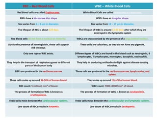 RBC – Red Blood Cells WBC – White Blood Cells
Red blood cells are called Erythrocytes. White Blood Cells are called Leucocytes or Leukocytes.
RBCs have a bi-concave disc shape WBCs have an irregular shape.
Size varies from 6 – 8 µm in diameter. Size varies from 12 – 17 µm in diameter.
The lifespan of RBC is about 120 days. The lifespan of WBC is around 12-20 days after which they are
destroyed in the lymphatic system
Red blood cells do not have a nucleus on maturity. WBCs are characterized by the presence of a large central nucleus.
Due to the presence of haemoglobin, these cells appear
red in colour.
These cells are colourless, as they do not have any pigment.
Only one type of RBC exists. Different types of WBCs are found in the blood such as neutrophils, B
lymphocytes, T lymphocytes, monocytes, basophils, eosinophils.
They help in the transport of respiratory gases to different
parts of the human body
They help in producing antibodies to fight against disease-causing
microbes.
RBCs are produced in the red bone marrow These cells are produced in the red bone marrow, lymph nodes, and
spleen.
These cells make up around 36-50% of human blood. They make up around 1% of the human blood.
RBC count: 5 million/ mm³ of blood. WBC count: 7000–8000/mm³ of blood.
The process of formation of RBC is known as
erythropoiesis.
The process of formation of WBC is known as Leukopoiesis.
These cells move between the cardiovascular systems. These cells move between the cardiovascular and lymphatic systems.
Low count of RBCs results in Anaemia. Low count of WBCs results in Leukopenia.
 