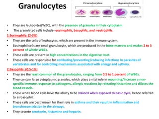 Granulocytes
• They are leukocytes(WBC), with the presence of granules in their cytoplasm.
• The granulated cells include- eosinophils, basophils, and neutrophils.
1.Eosinophils: (2-3%)
• They are the cells of leukocytes, which are present in the immune system.
• Eosinophil cells are small granulocyte, which are produced in the bone marrow and makes 2 to 3
percent of whole WBCs.
• These cells are present in high concentrations in the digestive tract.
• These cells are responsible for combating/preventing/reducing infections in parasites of
vertebrates and for controlling mechanisms associated with allergy and asthma.
2.Basophils: (0.5-1%)
• They are the least common of the granulocytes, ranging from 0.5 to 1 percent of WBCs.
• They contain large cytoplasmic granules, which plays a vital role in mounting/increase a non-
specific immune response to pathogens, allergic reactions by releasing histamine and dilates the
blood vessels.
• These white blood cells have the ability to be stained when exposed to basic dyes, hence referred
to as basophil.
• These cells are best known for their role in asthma and their result in inflammation and
bronchoconstriction in the airways.
• They secrete serotonin, histamine and heparin.
 