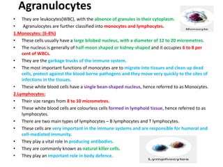 Agranulocytes
• They are leukocytes(WBC), with the absence of granules in their cytoplasm.
• Agranulocytes are further classified into monocytes and lymphocytes.
1.Monocytes: (6-8%)
• These cells usually have a large bilobed nucleus, with a diameter of 12 to 20 micrometres.
• The nucleus is generally of half-moon shaped or kidney-shaped and it occupies 6 to 8 per
cent of WBCs.
• They are the garbage trucks of the immune system.
• The most important functions of monocytes are to migrate into tissues and clean up dead
cells, protect against the blood borne pathogens and they move very quickly to the sites of
infections in the tissues.
• These white blood cells have a single bean-shaped nucleus, hence referred to as Monocytes.
2.Lymphocytes:
• Their size ranges from 8 to 10 micrometres.
• These white blood cells are colourless cells formed in lymphoid tissue, hence referred to as
lymphocytes.
• There are two main types of lymphocytes – B lymphocytes and T lymphocytes.
• These cells are very important in the immune systems and are responsible for humoral and
cell-mediated immunity.
• They play a vital role in producing antibodies.
• They are commonly known as natural killer cells.
• They play an important role in body defence.
 