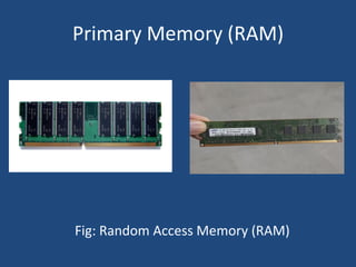 Primary Memory (RAM)
Fig: Random Access Memory (RAM)
 