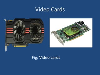 Video Cards
Fig: Video cards
 