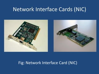 Network Interface Cards (NIC)
Fig: Network Interface Card (NIC)
 