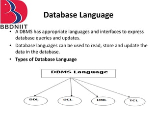 Database Language
• A DBMS has appropriate languages and interfaces to express
database queries and updates.
• Database languages can be used to read, store and update the
data in the database.
• Types of Database Language
 
