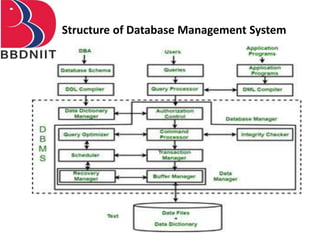 Structure of Database Management System
 