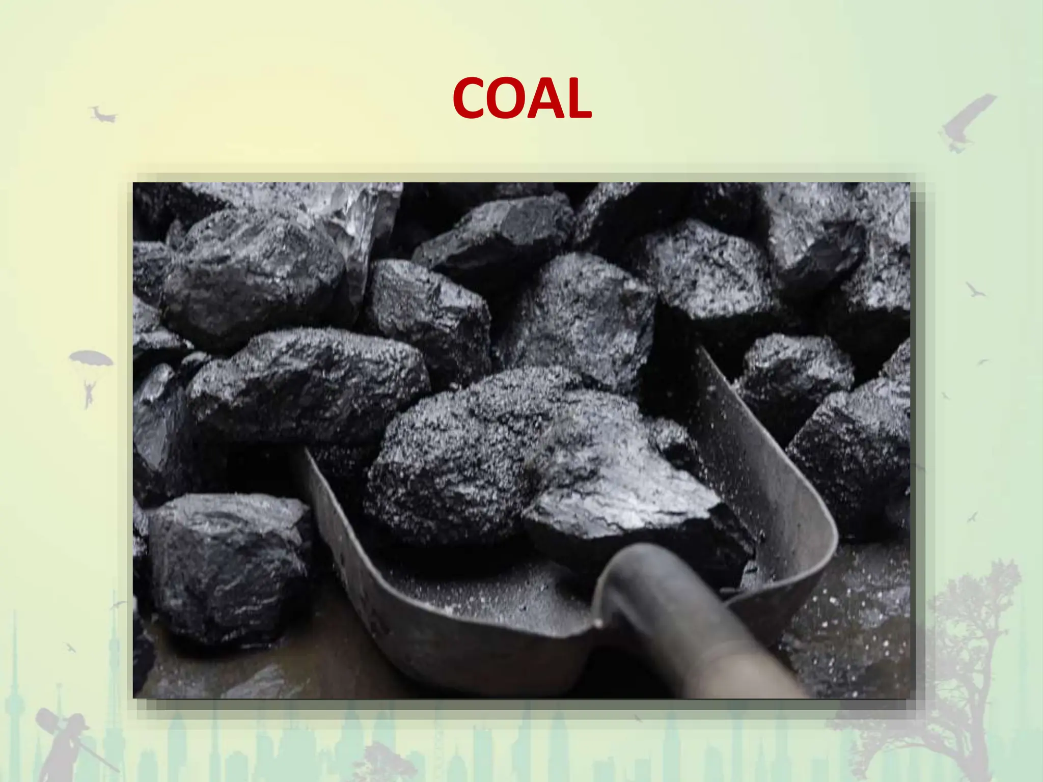 COAL
 