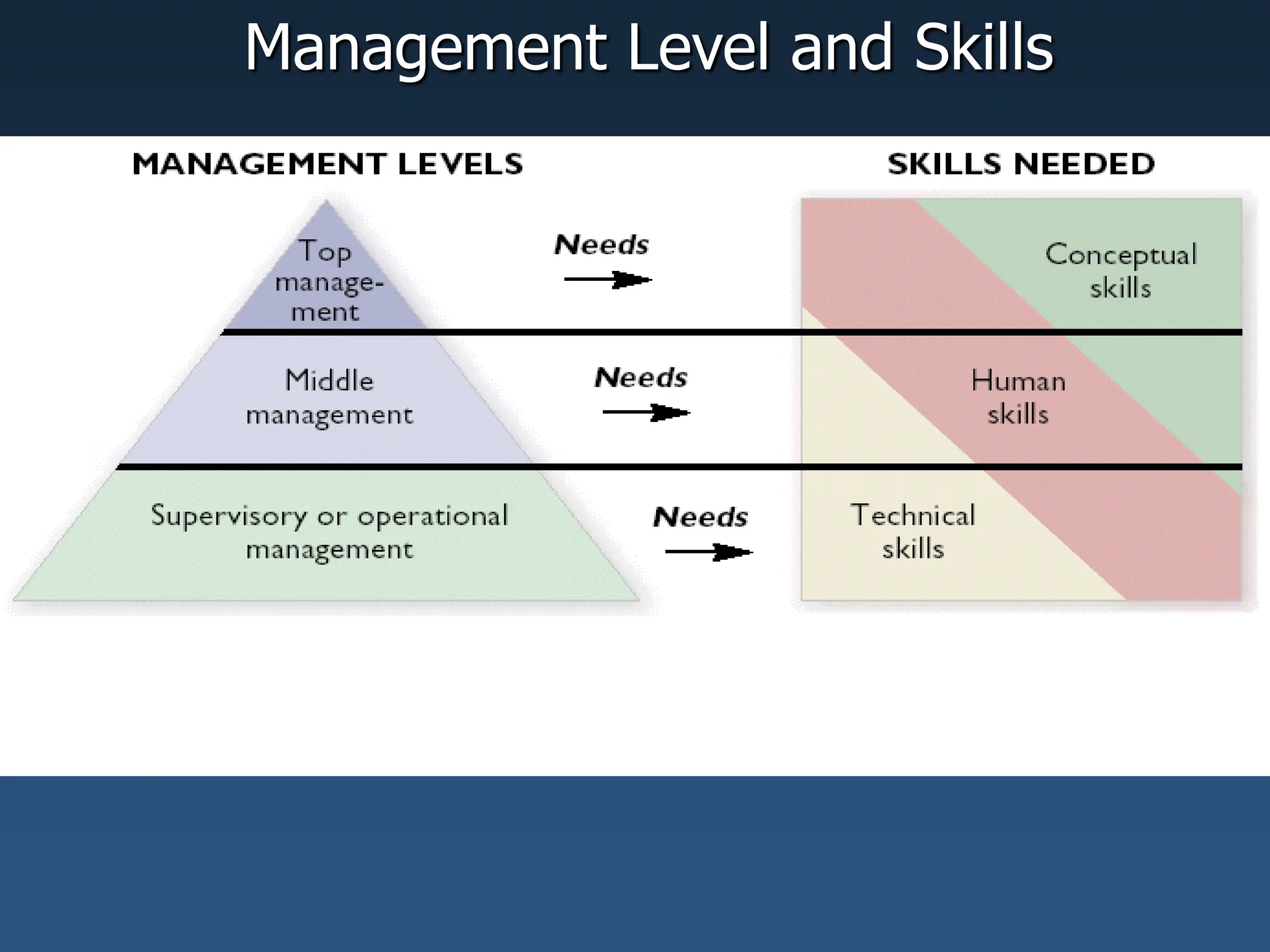 Management Level and Skills
 