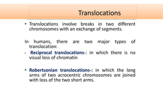 Translocation Visual UNIT-1 GENETICS.pptx
