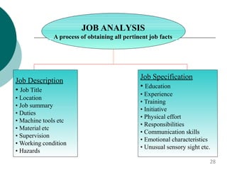 JOB ANALYSIS
A process of obtaining all pertinent job facts
Job Description
• Job Title
• Location
• Job summary
• Duties
• Machine tools etc
• Material etc
• Supervision
• Working condition
• Hazards
Job Specification
• Education
• Experience
• Training
• Initiative
• Physical effort
• Responsibilities
• Communication skills
• Emotional characteristics
• Unusual sensory sight etc.
28
 