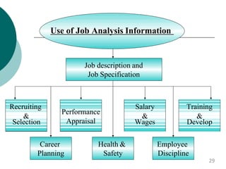 Use of Job Analysis Information
Job description and
Job Specification
Recruiting
&
Selection
Performance
Appraisal
Salary
&
Wages
Training
&
Develop
Career
Planning
Health &
Safety
Employee
Discipline
29
 