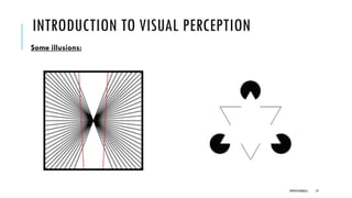 INTRODUCTION TO VISUAL PERCEPTION
Some illusions:
DIPESH KOIRALA 19
 