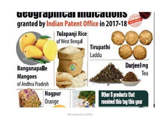 Mr.S.Ashok M.Sc,(PhD)
 