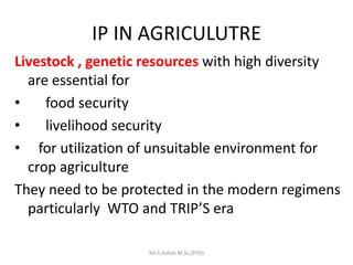IP IN AGRICULUTRE
Livestock , genetic resources with high diversity
are essential for
• food security
• livelihood security
• for utilization of unsuitable environment for
crop agriculture
They need to be protected in the modern regimens
particularly WTO and TRIP’S era
Mr.S.Ashok M.Sc,(PhD)
 