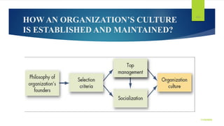 HOW AN ORGANIZATION’S CULTURE
IS ESTABLISHED AND MAINTAINED?
119
11/25/2022
 