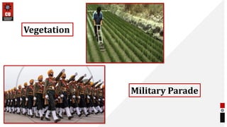 Vegetation
Military Parade
 