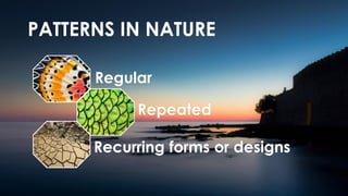 Exploring Patterns in Nature and the Fibonacci Sequence in Mathematics ...