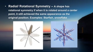 Exploring Patterns in Nature and the Fibonacci Sequence in Mathematics ...