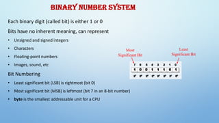 UNIT-1 Number System Computer application in pharmacy BP205T | PDF