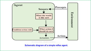 Schematic diagram of a simple reflex agent.
 