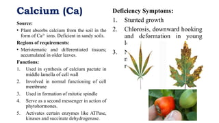 Plant Water Status and role of water by dr. Kirpa Ram | PPTX