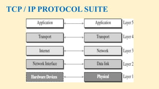 Networking & Physical Layer, covering Network Types, TCP/IP & OSI ...