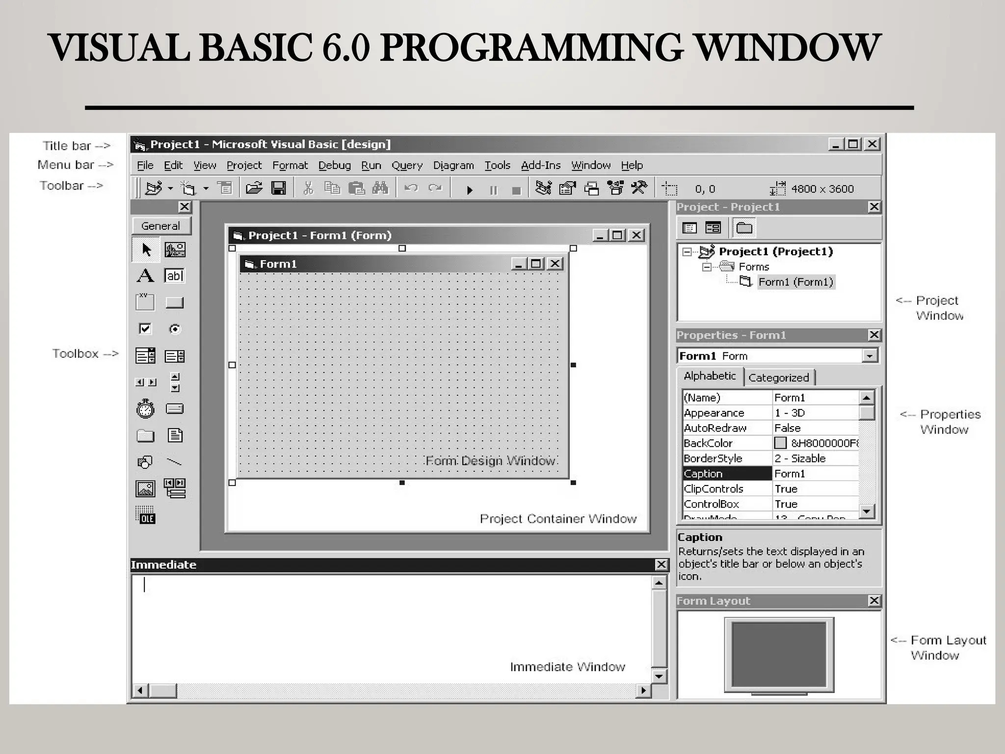 VISUAL BASIC 6.0 PROGRAMMING WINDOW
 