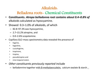 Alkaloids:
Belladona roots- Chemical Constituents
• Constituents. Atropa belladonna root contains about 0.4–0.8% of
alkaloids calculated as hyoscyamine.
• Showed 0.3–1.0% of alkaloids, of which
– 82.8–97.3% was hyoscyamine,
– 2.7–15.2% atropine, and
– 0.0–2.6% scopolamine.
• Capillary GLC–mass spectrometry data revealed the presence of
• hygrine,
• hygroline,
• cuscohygrine,
• tropinone,
• tropine,
• pseudotropine and
• nine tropanol esters
• Other constituents previously reported include
– belladonnine together with β-methylaesculetin, calcium oxalate & starch.
• Constituents. Atropa belladonna root contains about 0.4–0.8% of
alkaloids calculated as hyoscyamine.
• Showed 0.3–1.0% of alkaloids, of which
– 82.8–97.3% was hyoscyamine,
– 2.7–15.2% atropine, and
– 0.0–2.6% scopolamine.
• Capillary GLC–mass spectrometry data revealed the presence of
• hygrine,
• hygroline,
• cuscohygrine,
• tropinone,
• tropine,
• pseudotropine and
• nine tropanol esters
• Other constituents previously reported include
– belladonnine together with β-methylaesculetin, calcium oxalate & starch.22
Edited & Compiled by Dr M H Ghante
 