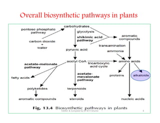 Overall biosynthetic pathways in plants
4
Edited & Compiled by Dr M H Ghante
 