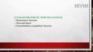 2) PARASYMPATHETIC NERVOUS SYSTEM:
Maintenance functions
Rest-and-digest
Counterbalances sympathetic function
 