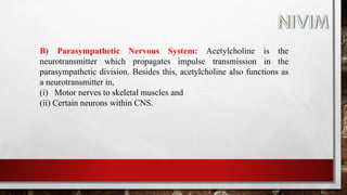 B) Parasympathetic Nervous System: Acetylcholine is the
neurotransmitter which propagates impulse transmission in the
parasympathetic division. Besides this, acetylcholine also functions as
a neurotransmitter in,
(i) Motor nerves to skeletal muscles and
(ii) Certain neurons within CNS.
 