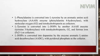 • L-Phenylalanine is converted into L-tyrosine by an aromatic amino acid
hydroxylase (AAAH) enzyme (phenylalanine 4-hydroxylase), with
molecular oxygen (O2) and tetrahydrobiopterin as cofactors.
• L-Tyrosine is converted into L-DOPA by another AAAH enzyme
(tyrosine 3-hydroxylase) with tetrahydrobiopterin, O2, and ferrous iron
(Fe2+) as cofactors.
• L-DOPA is converted into dopamine by the enzyme aromatic L-amino
acid decarboxylase (AADC), with pyridoxal phosphate as the cofactor.
 
