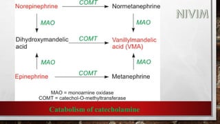 Catabolism of catecholamine
 