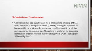  Catabolism of Catecholamine
• Catecholamines are deactivated by L-monoamine oxidase (MAO)
and Catechol-O- methyltransferase (COMT) leading to synthesis of
homovanillic acid (from dopamine) or vanillylmandelic acid from
norepinephrine or epinephrine. Alternatively, as shown for dopamine
metabolism order of reaction may be change with COMT acting first
followed by MAO.
 