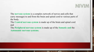 The nervous system is a complex network of nerves and cells that
carry messages to and from the brain and spinal cord to various parts of
the body.
The Central nervous system is made up of the brain and spinal cord
and
The Peripheral nervous system is made up of the Somatic and the
Autonomic nervous systems.
 