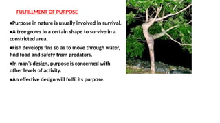 FULFILLMENT OF PURPOSE
•Purpose in nature is usually involved in survival.
•A tree grows in a certain shape to survive in a
constricted area.
•Fish develops fins so as to move through water,
find food and safety from predators.
•In man’s design, purpose is concerned with
other levels of activity.
•An effective design will fulfil its purpose.
 