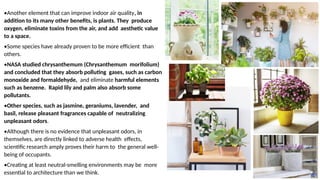 •Another element that can improve indoor air quality, in
addition to its many other benefits, is plants. They produce
oxygen, eliminate toxins from the air, and add aesthetic value
to a space.
•Some species have already proven to be more efficient than
others.
•NASA studied chrysanthemum (Chrysanthemum morifolium)
and concluded that they absorb polluting gases, such as carbon
monoxide and formaldehyde, and eliminate harmful elements
such as benzene. Rapid lily and palm also absorb some
pollutants.
•Other species, such as jasmine, geraniums, lavender, and
basil, release pleasant fragrances capable of neutralizing
unpleasant odors.
•Although there is no evidence that unpleasant odors, in
themselves, are directly linked to adverse health effects,
scientific research amply proves their harm to the general well-
being of occupants.
•Creating at least neutral-smelling environments may be more
essential to architecture than we think.
 