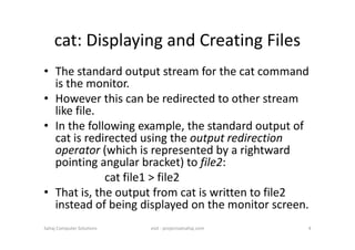 unit- 2.pdf Handling ordinary file and file attribute | PDF